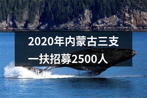 2020年内蒙古三支一扶招募2500人 图片