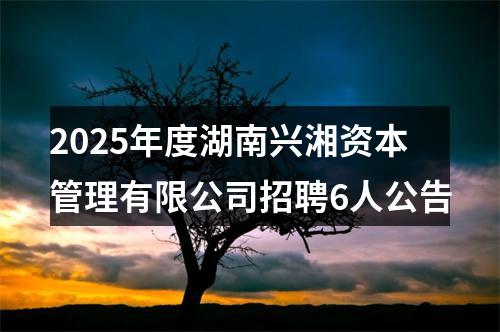 2025年度湖南兴湘资本管理有限公司招聘6人公告 图片